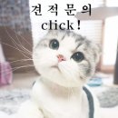 참빛인테리어 이미지