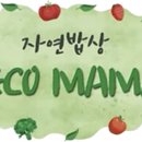 영에코 이미지