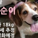 해피 이미지