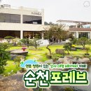 상사포레브(FOREV)
