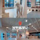 이평우 반려견 교육센터 | [김포 애견유치원 추천] 구래동 본펫플래닛, 반려견 순돌이 첫 등원 솔직후기.