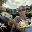 호주 시드니 워홀 Day 1 ~ Day 7 / 유심 개통, 컴원웰스 계좌 개설, RSA 자격증, 숙소 인스펙션 등등...