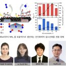 이규복 카카오 검색결과