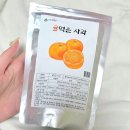 더엘코리아