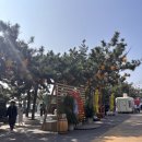 칭다오 여행코스 추천 잔교-성 미카엘성당-중산로 명소 한번에 다녀온 후기