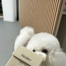 [힐레브 트리플 조인트] 강아지다리절뚝 걱정 끝, 3mm 구슬 제형의 기호성 좋은 강아지관절영양제 솔직후기