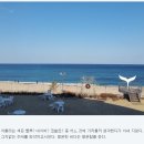 속초로 겨울바다 여행 갑니다 4050 싱글여행 동호회 싱글모임 싱글카페 이혼 돌싱 만남 재혼카페 4050 싱글 돌싱모임 5:5 미팅모임 이미지