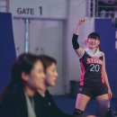 소니도스 이미지