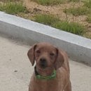 월포주유소 이미지