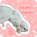 하노이 5성급 호텔 인터컨티넨탈 하노이 웨스트레이크 바이 IHG