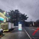 수덕사주유소 이미지