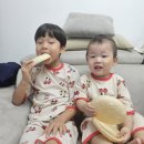 (주)닥터브로 | 피부 염증에 좋은 영양제로 먹어본 퀘르셀 솔직 후기