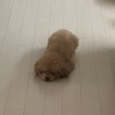 만성중학교 | 새해복다내꺼