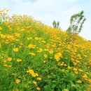 근포땅굴 이미지