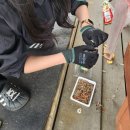 대호낚시터 이미지