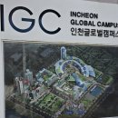 수니글로벌