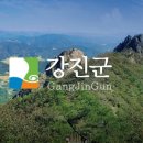 강진군청 민원실 이미지