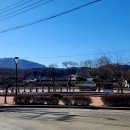 민들레산채정식