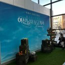 30대 직딩의 라이즈 생일카페 방문 후기 | 쇼타로 생카 ‘홍대 러빈허’