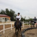 티엠케이 이미지