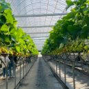 순풍농장 이미지