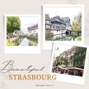 구텐베르크 | 대성당, 메르시에르 거리, 쁘띠 프랑스, 구텐베르크 광장(feat. 한식당 2곳 정보 &amp; 절대 가면 안 되는...