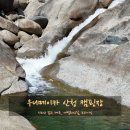 지리산참펜션별채 | 여름 아이들과 물놀이 캠핑은 무조건 여기! 천연 수영장 부럽지 않은 우니메이카 산청점 계곡 사이트 후기