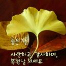 오늘도푸른 이미지