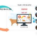 대명축사 이미지