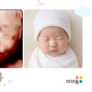 마미베이스 이미지