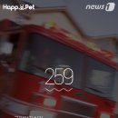 카드119