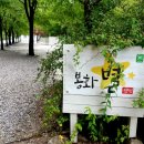 봉화 별 캠핑장 이용후기. 조용한 계곡 캠핑장 추천!