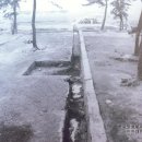 대동타운(좌1동)