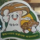 일능이버섯백숙 이미지