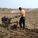 가자농장 이미지