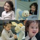 강아지 친구 이미지