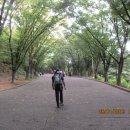 계양산야외공연장 야외공연장 이미지