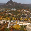 단풍