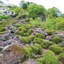 세계여행사 이미지