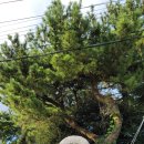 한남리 마을회관 이미지