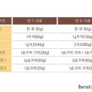 유아 식판식 입문 가이드