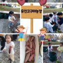 유진 농장 이미지