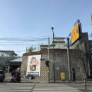 속초대일호방어1 네이버블로그