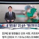 원정출산 시도하다가 아내가 죽은 남편 이미지