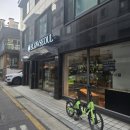 파충류샵알파 | 서울파충류샵 추천 슬로우서울 방문후기