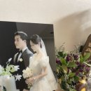 호야네과메기 이미지