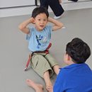 호랑이들 태권도장 이미지