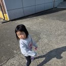 수도유치원 | 서곶초등학교 병설유치원 장점 및 첫 현장학습 후기