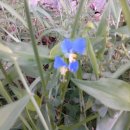 후천교~상산교 이미지