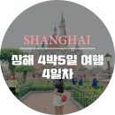 도날드 도그(Dog) | [상해 여행] 상해 4박5일 여행 4일차(상하이 디즈니랜드 어플 사용방법_입장권/패스트패스,써니마사지...